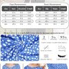 Pajamas for Women Set Fall Long Sleeve Pjs 2 Piece Lounge Set Top & Pants with Pockets Soft Sleepwear S-XXL